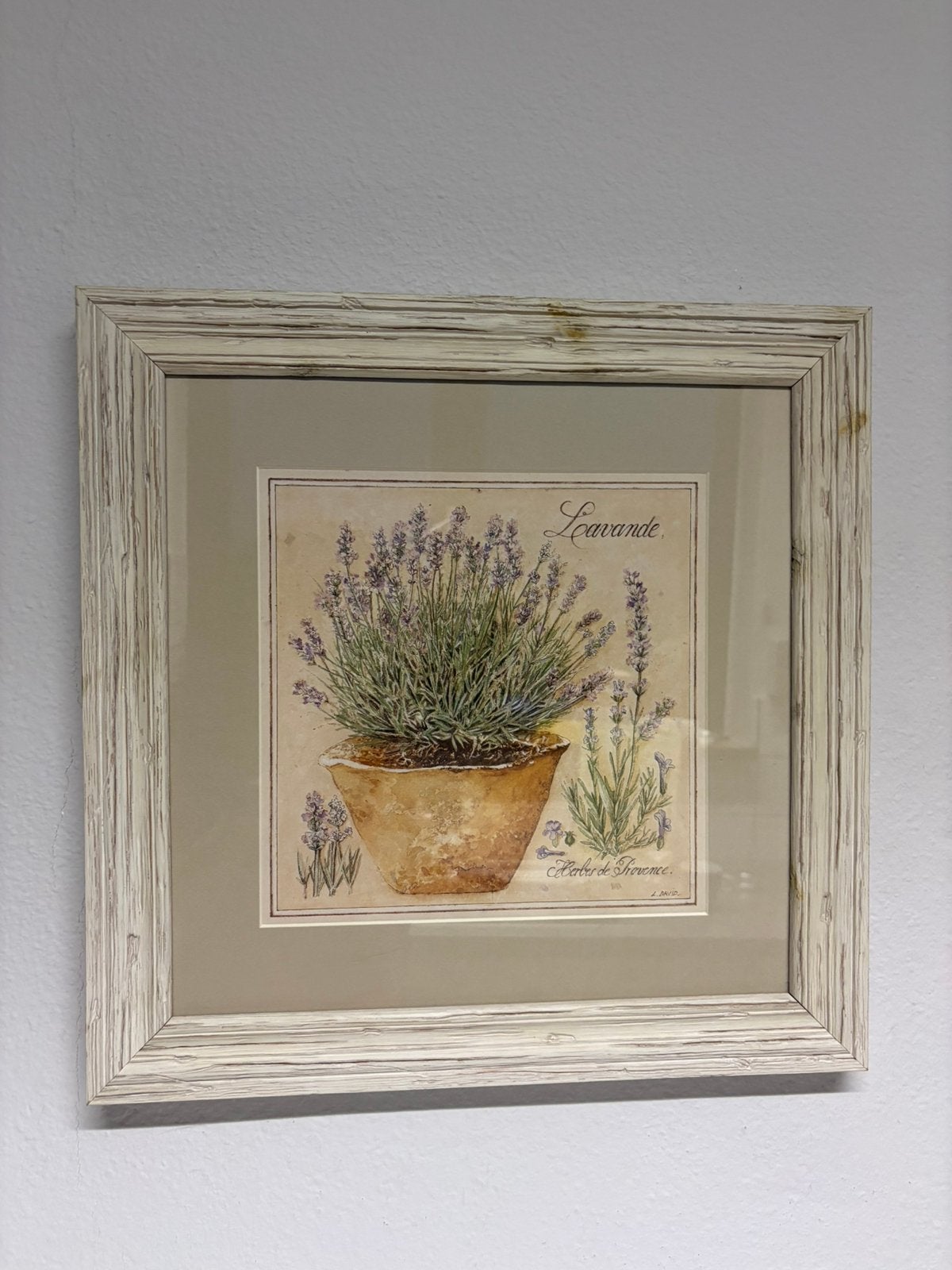 Kunstdruk Lavande in Landelijke Houten Lijst - 43x43cm, Ophalen of Verzenden