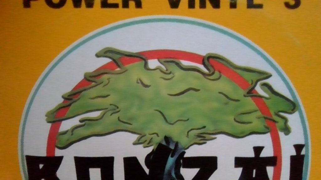 VINYLE BONSAI POWER VOLUME 3 !, CD & DVD, Vinyles | Dance & House, 12 pouces, Trance, Enlèvement ou Envoi, Pochette photo