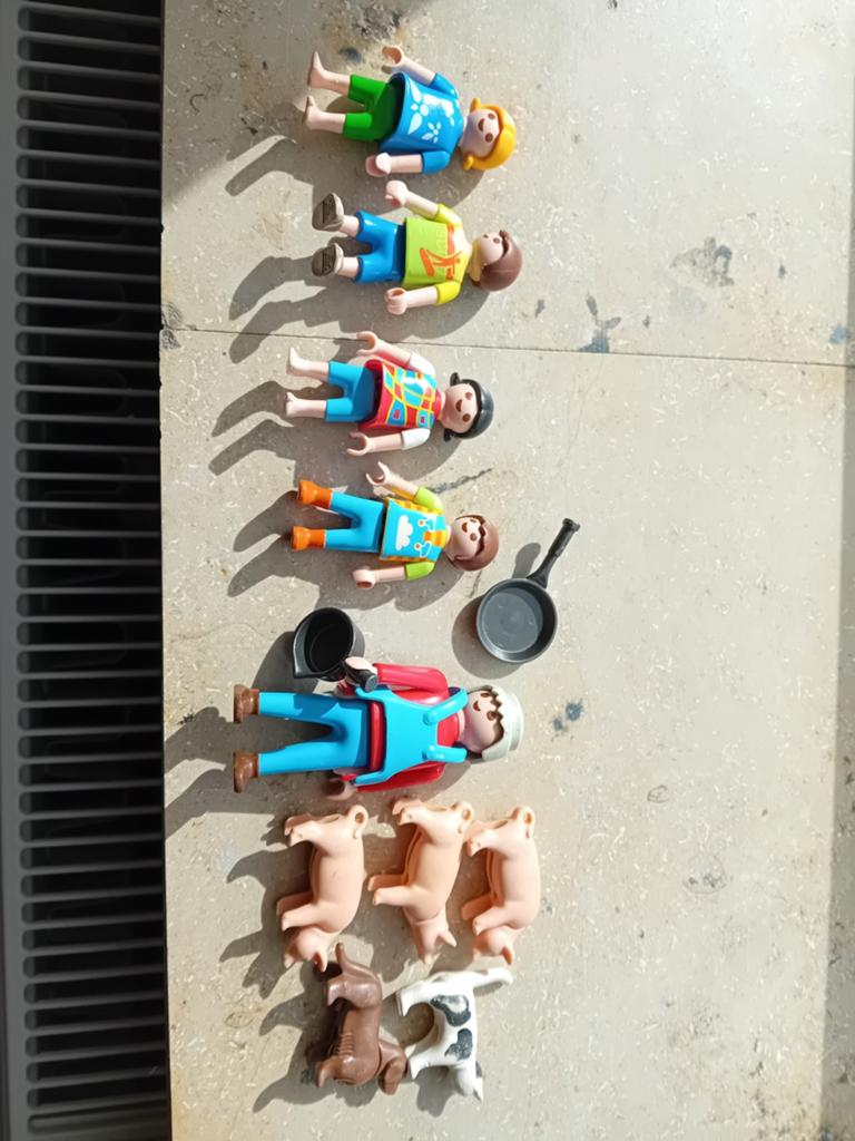Playmobil 11 figurines et 2 attributs, Enlèvement