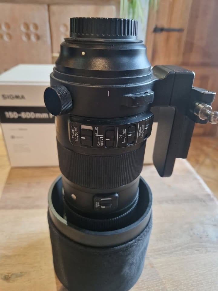 Sigma 150-600mm monture Canon, Audio, Tv en Foto, Foto | Lenzen en Objectieven, Ophalen, Gebruikt, Sigma, Telelens