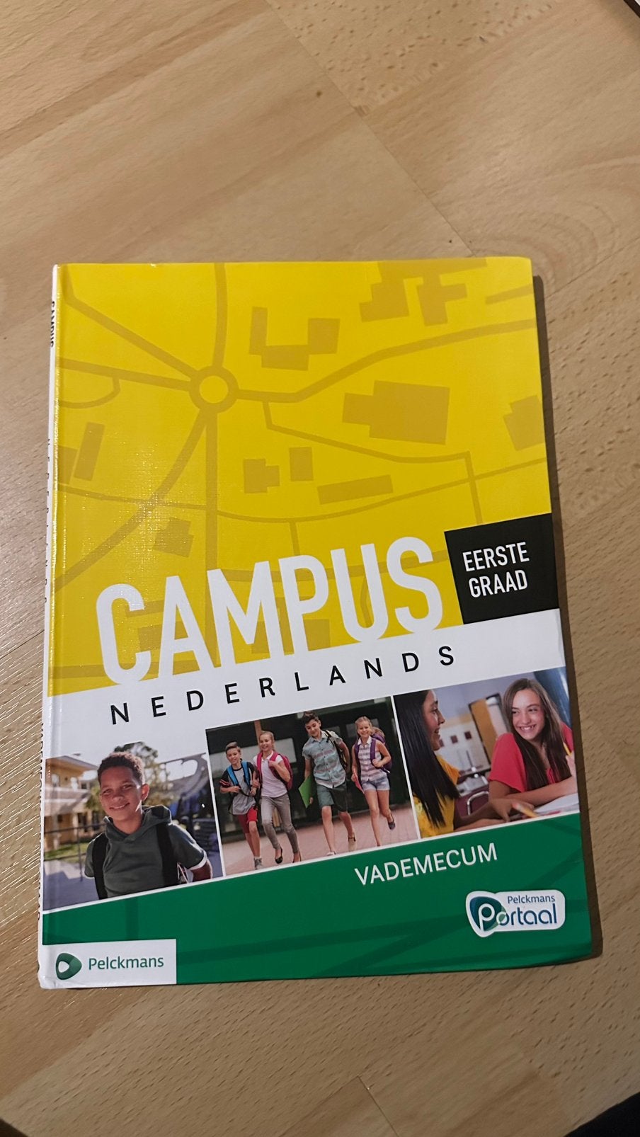 Vademecum eerste graad Nederlands (Campus), Ophalen of Verzenden, Zo goed als nieuw