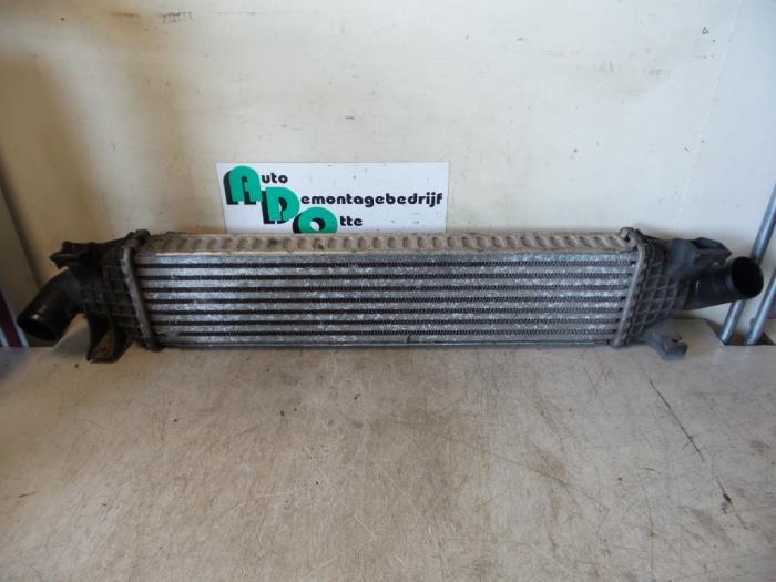 Intercooler d'un Ford Focus (Focus 04-), -, 3 mois de garantie, -, -