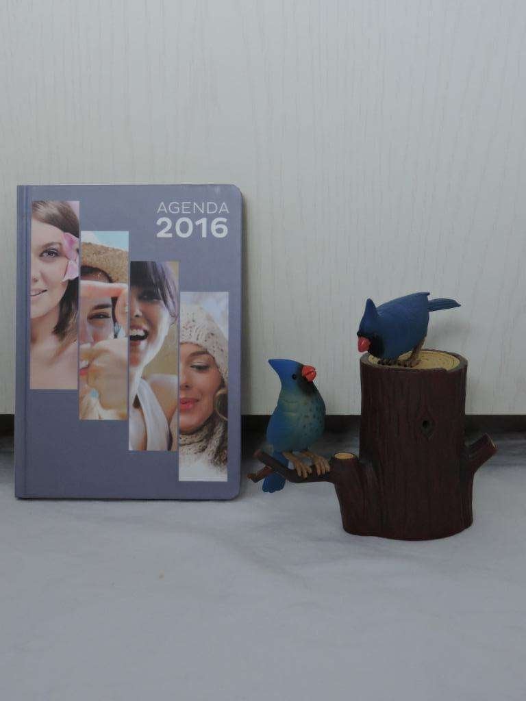 Agenda 2016 NEUF avec jolies photos, Divers, Agendas, Enlèvement ou Envoi, Neuf