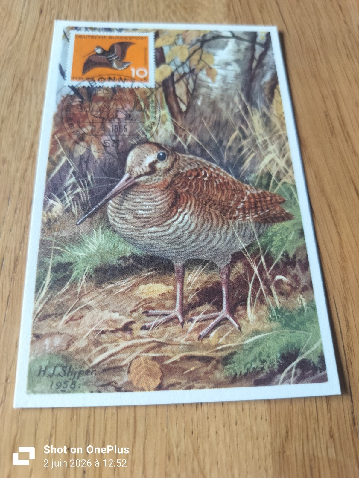 Carte de collection, Verzamelen, Postkaarten | Dieren, Ophalen
