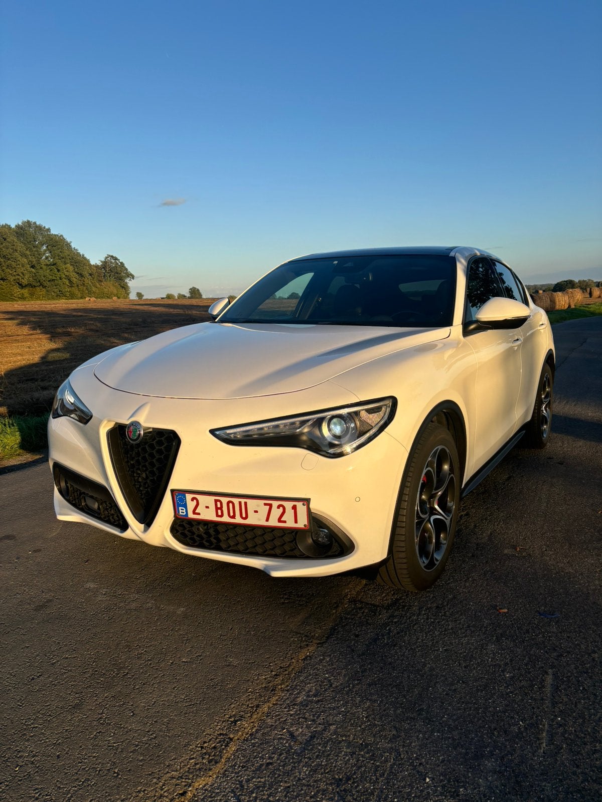 Stelvio 2.2 diesel 160cv, Autos, Alfa Romeo, Cuir, Achat, Euro 6, Entretenue par le concessionnaire