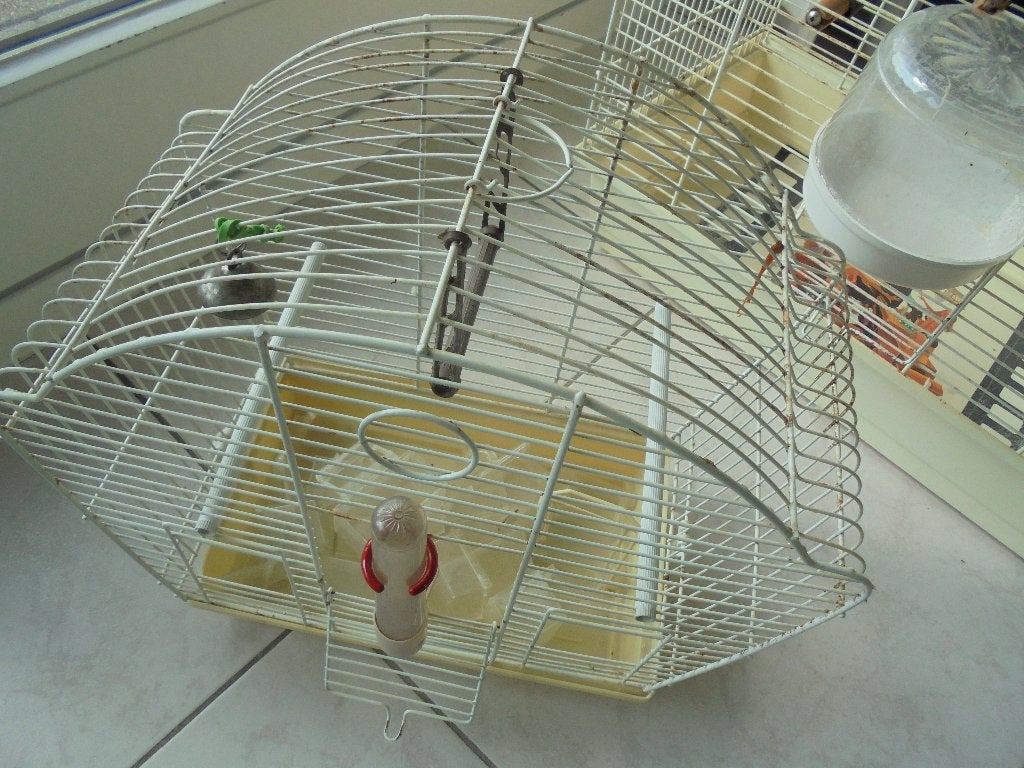 vogelkooien, Ophalen, Gebruikt