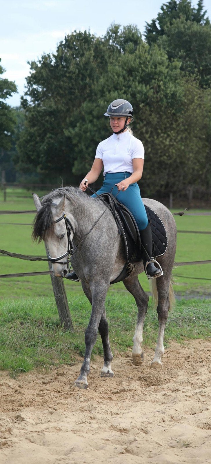 Knappe 4 jarige D pony & knappe 6 jarige C pony, Dieren en Toebehoren, Merrie, B, 3 tot 6 jaar