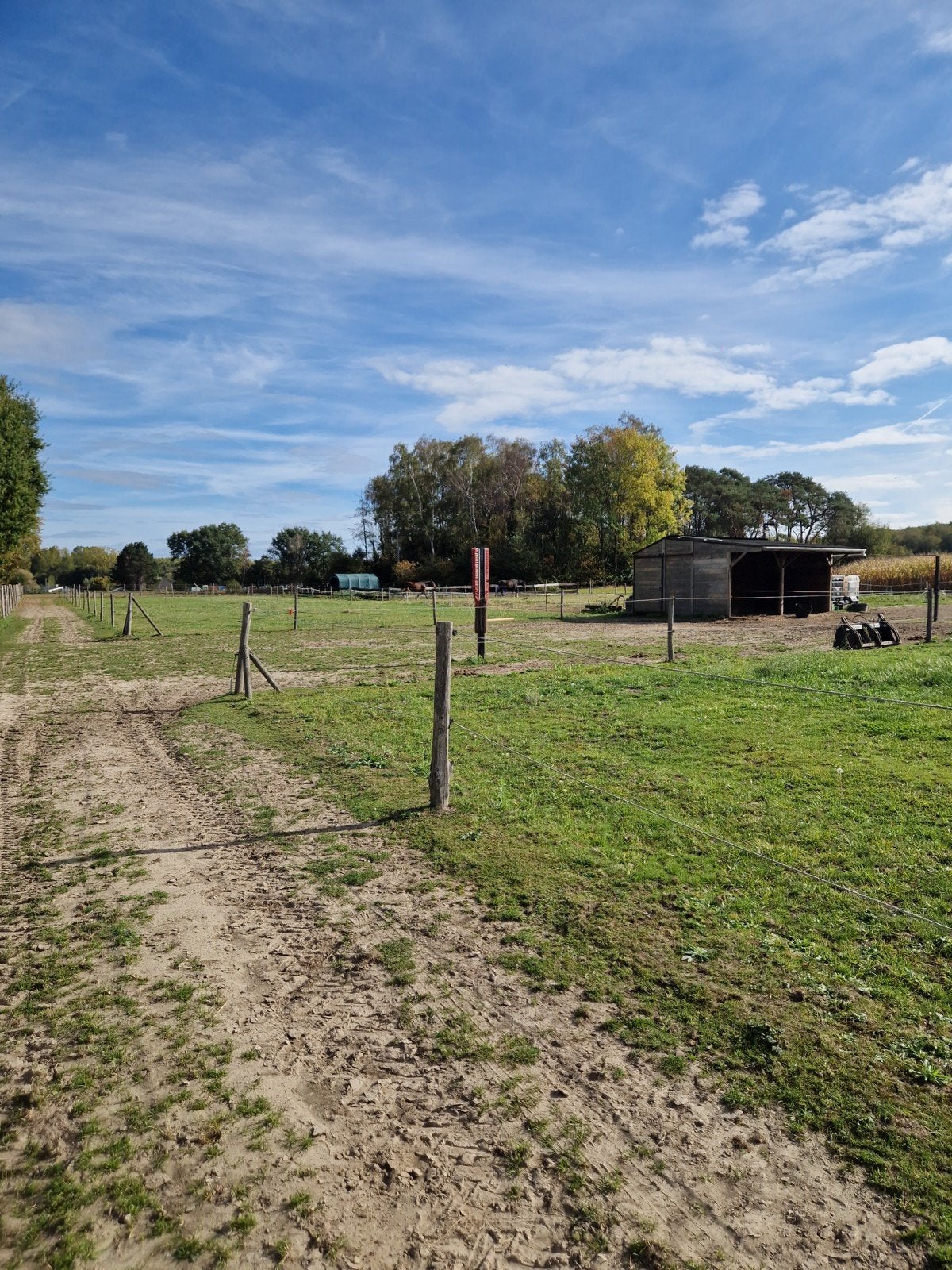 Plekje vrij op onze weide in Boortmeerbeek