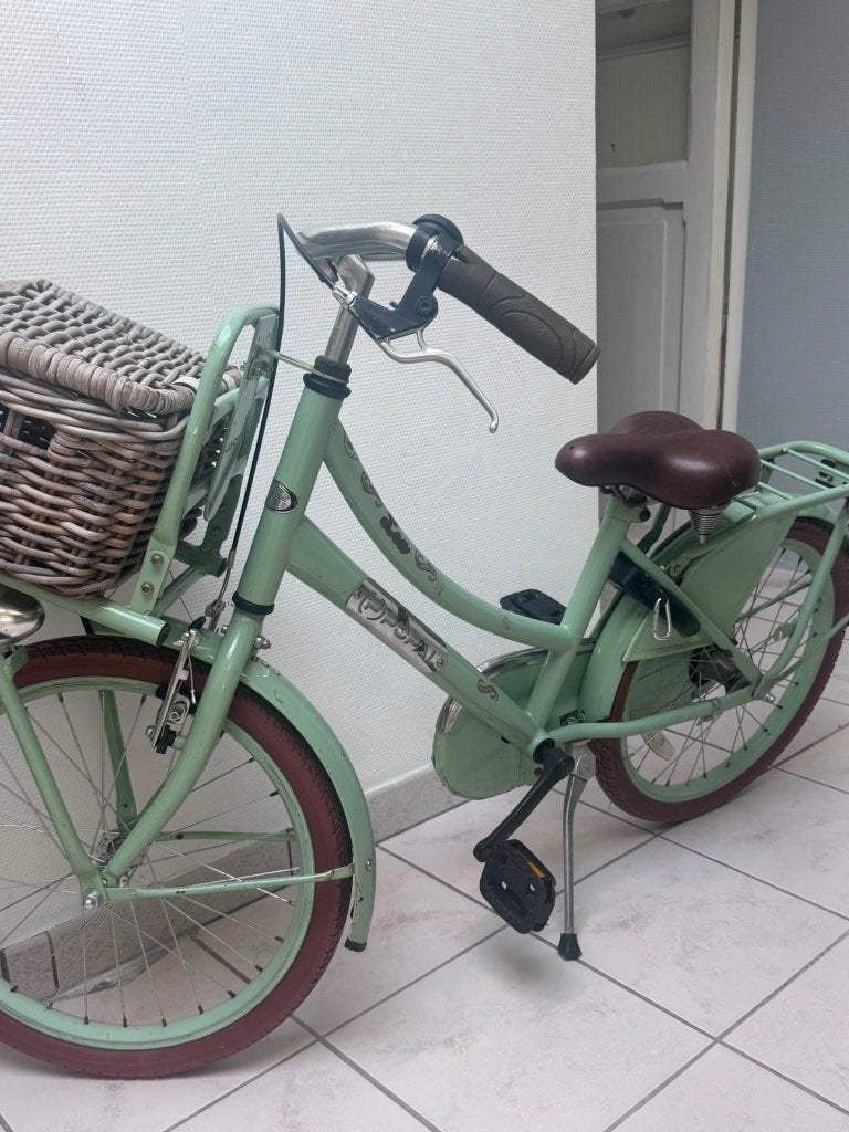Fiets, Ophalen, Gebruikt, Terugtraprem