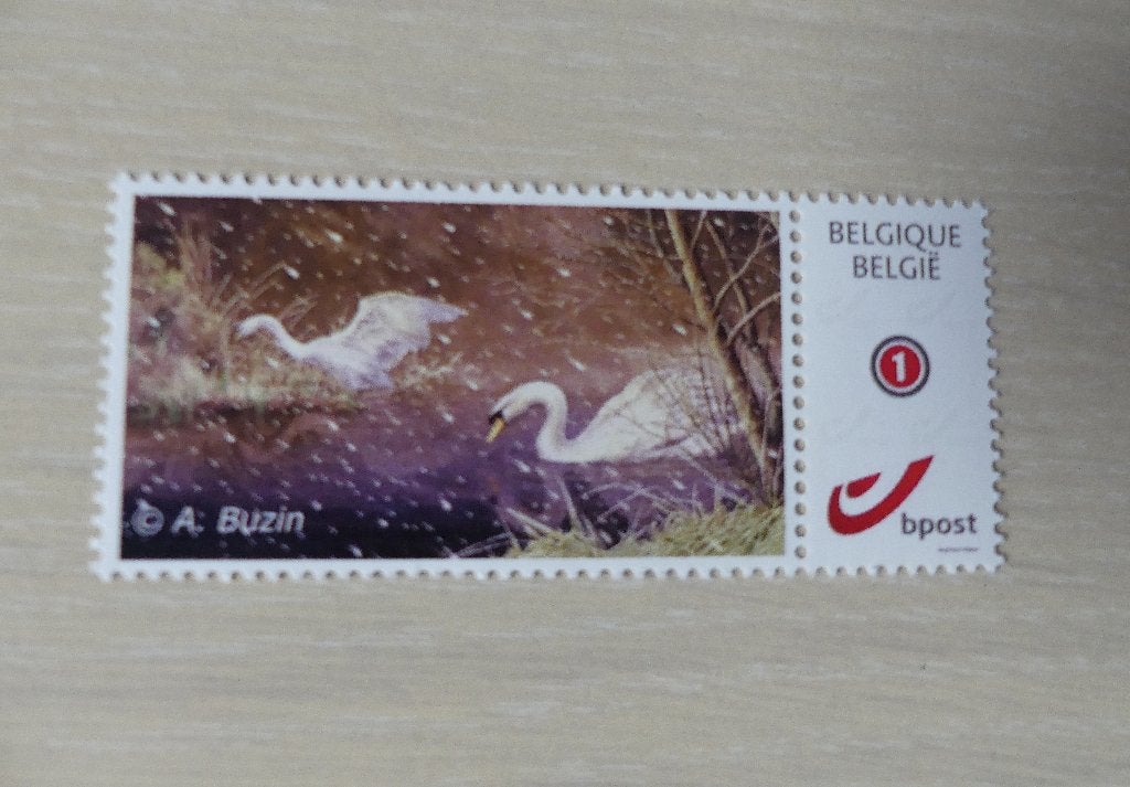 Mystamp / Duostamp Buzin - Oiseaux : Cygne MPO (2012), Timbres & Monnaies, Enlèvement ou Envoi, Non oblitéré, Neuf