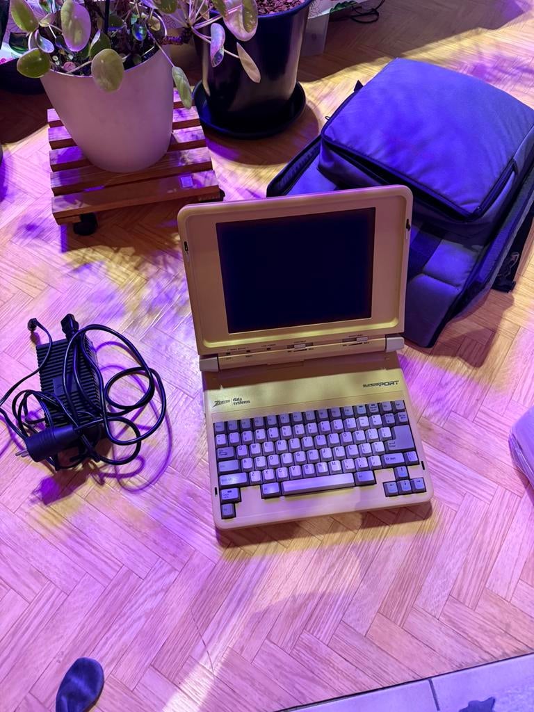 Vintage Zenith Data System, Enlèvement