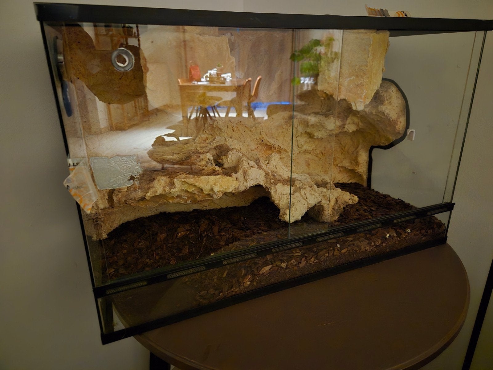 terrarium, Dieren en Toebehoren, Ophalen of Verzenden