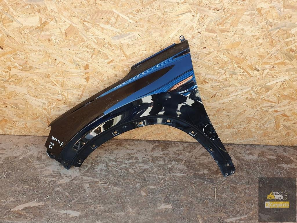 Aileron avant gauche Hyundai Santa Fe IV 18-23, Heolleung-ro 12
06797  Seoul, Info@hyundai.com, Utilisé, Hyundai