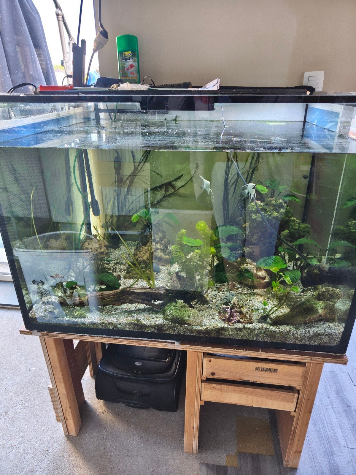 Volledig aquarium, Animaux & Accessoires, Enlèvement