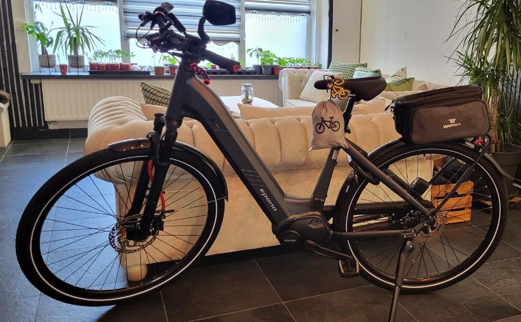 Vélo électrique, Enlèvement
