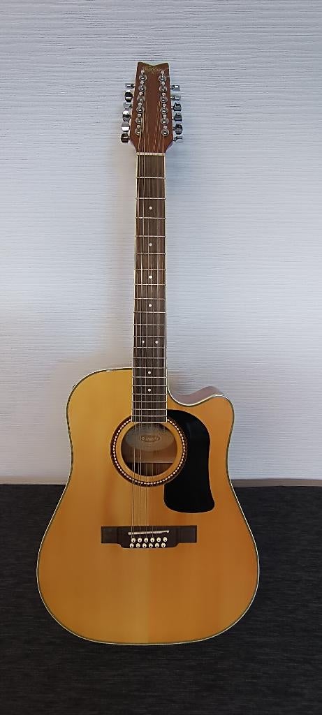 Superbe guitare 12 cordes Washburn, Musique & Instruments, Enlèvement, Comme neuf, Avec valise