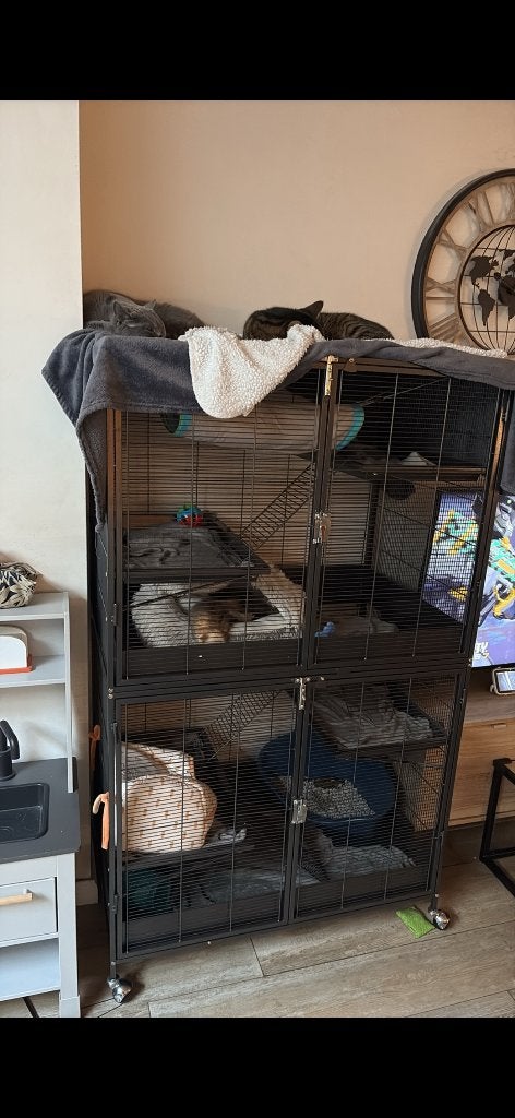 Frettenkooi, Enlèvement, Neuf, Cage, Rat