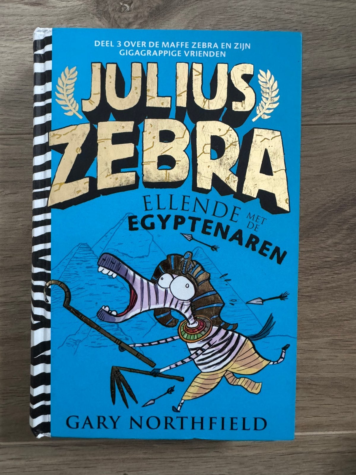 Boek Julius Zebra ellende met de egyptenaren, Boeken, Ophalen, Zo goed als nieuw
