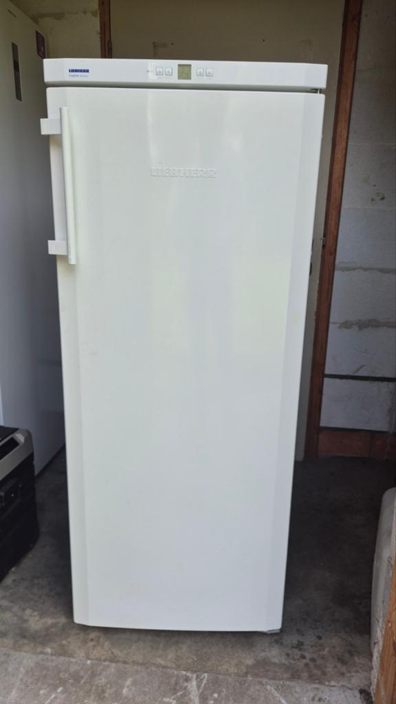 Liebherr vriezer diepvries kast no frost, Elektronische apparatuur, Vriezers en Diepvrieskisten, 160 cm of meer, Zo goed als nieuw