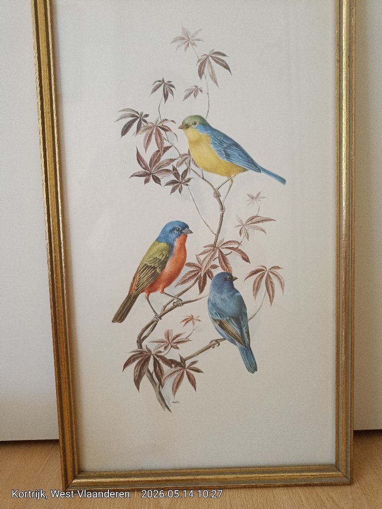 vintage schilderij, Ophalen, Achter glas, Dieren, Aquarel