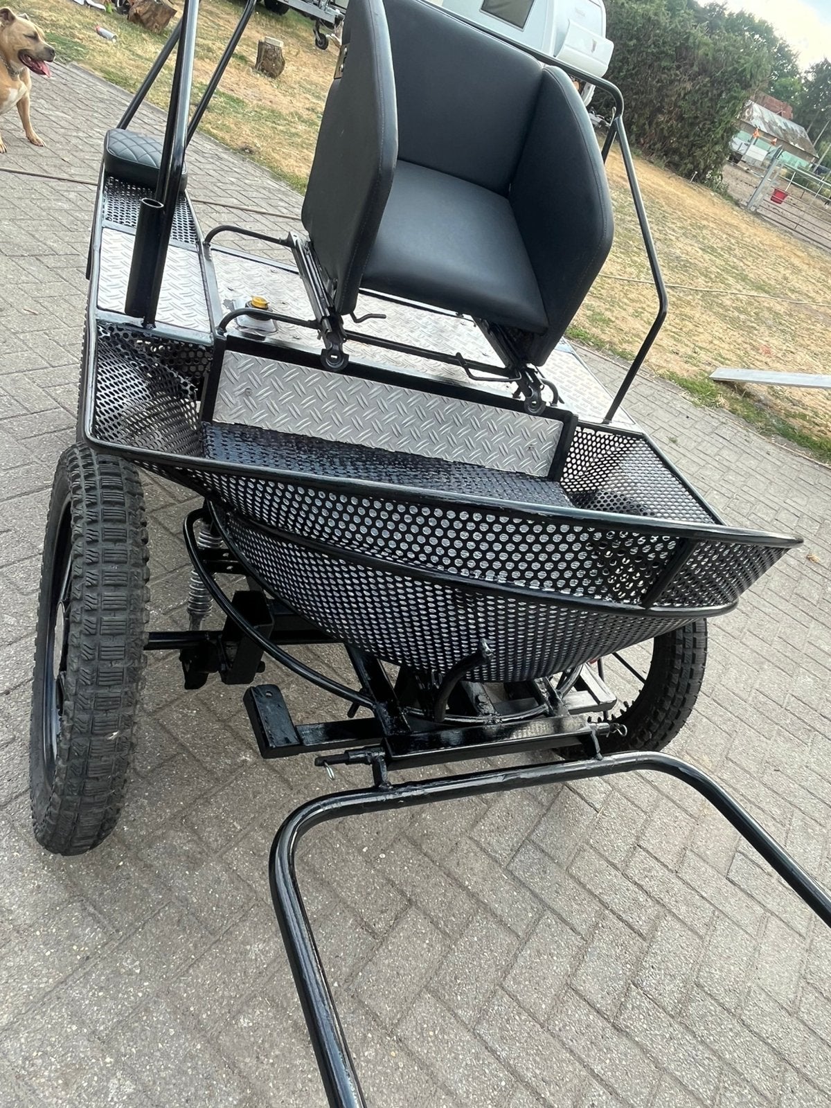 Men wagen voledig gepoedercout, Dieren en Toebehoren, Zo goed als nieuw, Marathonwagen, Pony