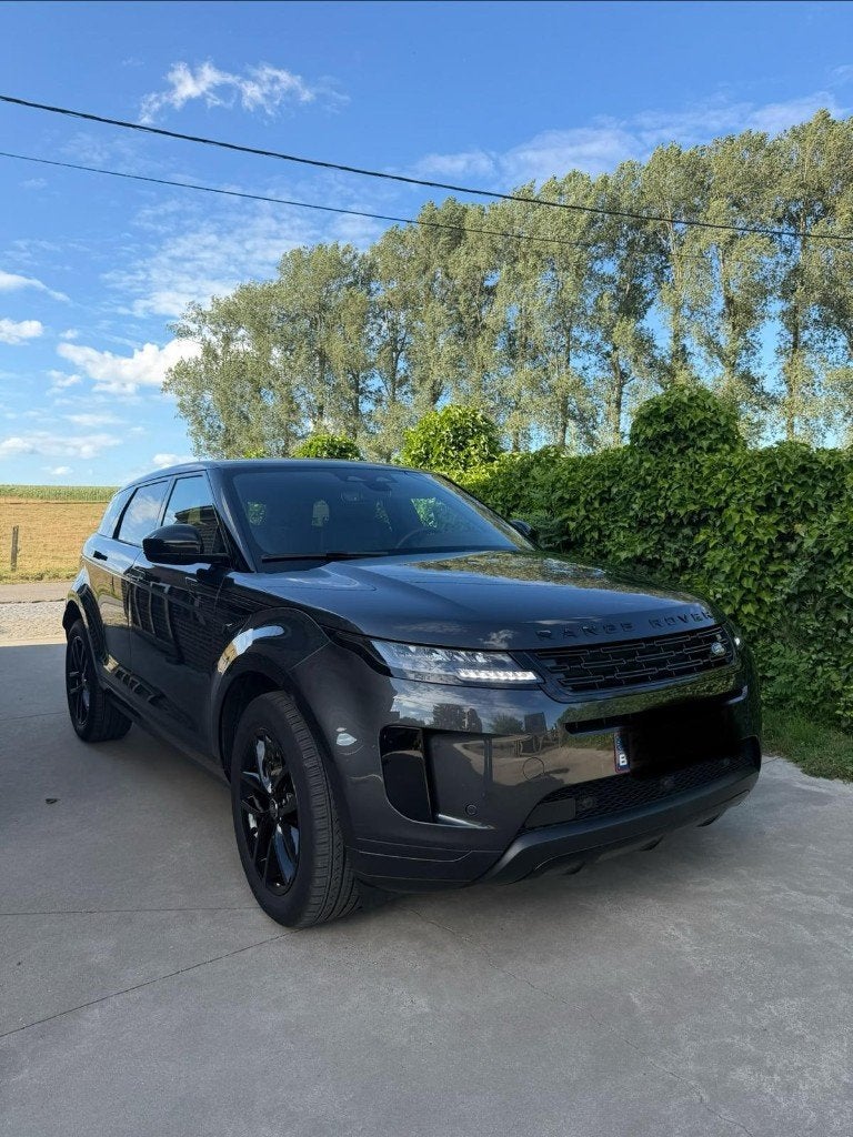 BTW-wagen lichte vracht, Cuir, Achat, 170 g/km, Euro 6