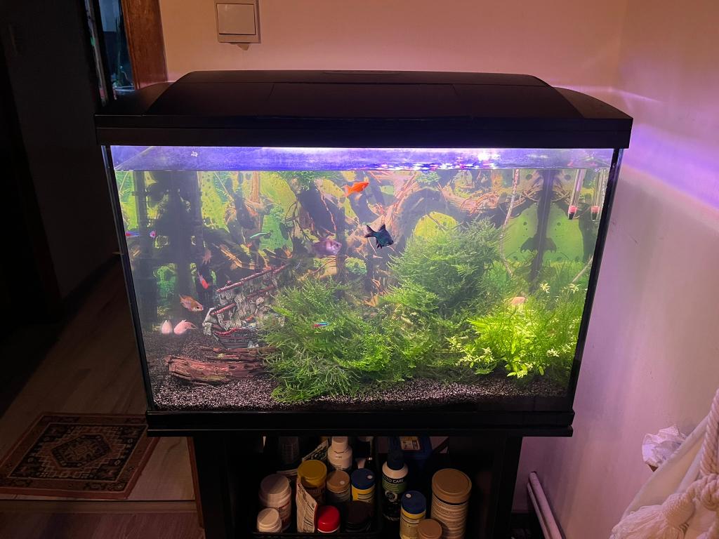 SuperFish Start 100 + CristalProfi e402 greenline, Animaux & Accessoires, Poissons | Aquariums & Accessoires, Utilisé, Autres types