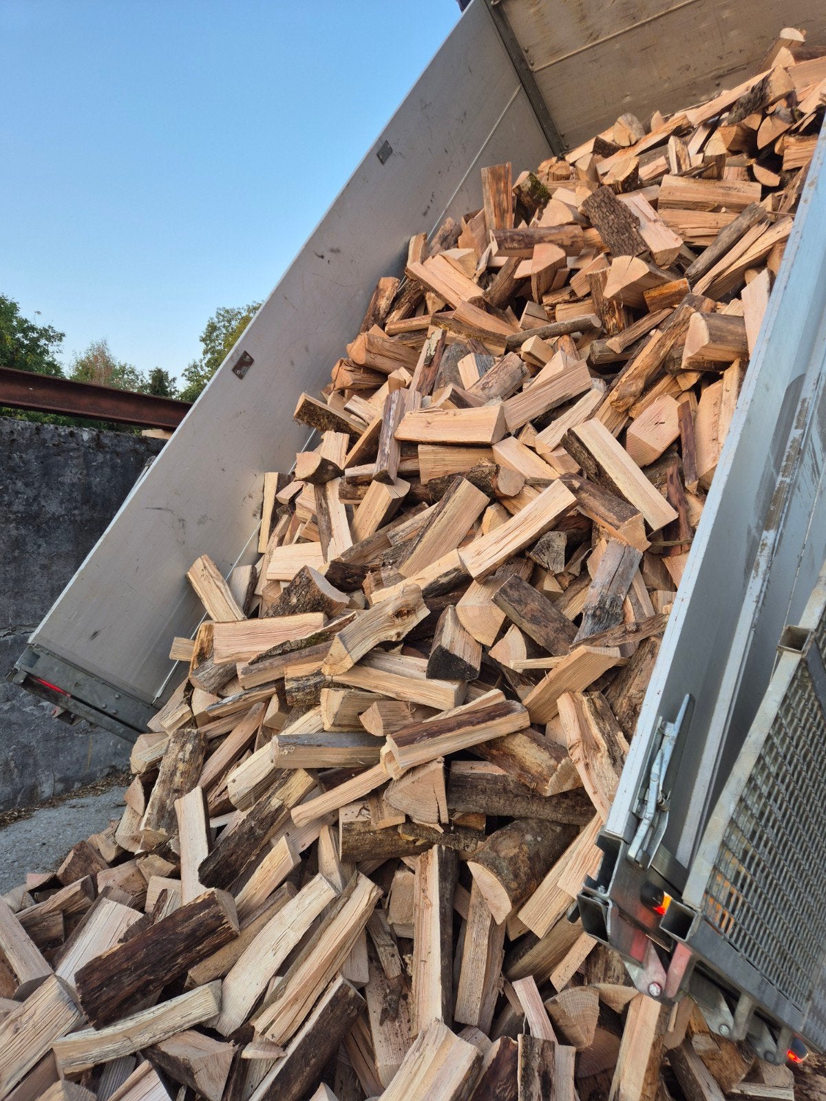 Bois de chauffage 33cm, Enlèvement ou Envoi, Frêne
