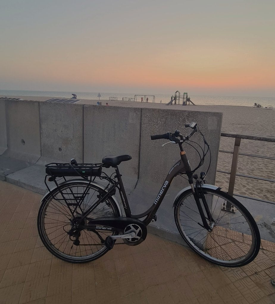 Minerva voyager comfort 36 volt !, Ophalen, Gebruikt, Elektrisch, Klasse A (25 km/u)