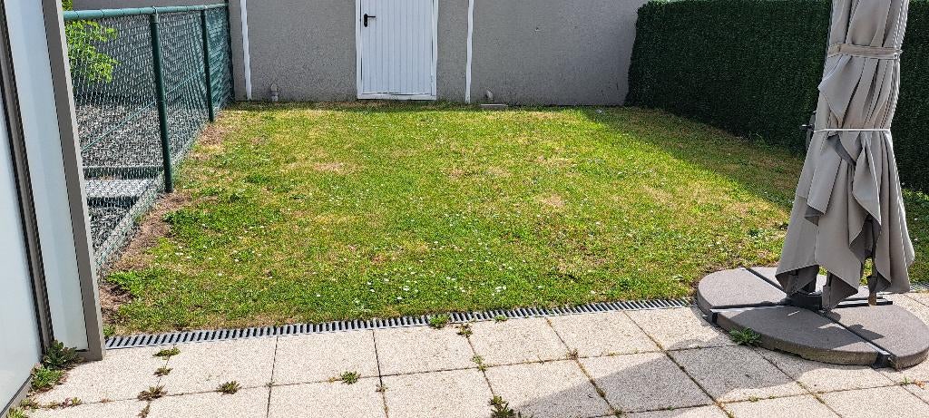 Zoek tuinman met kennis kunstgras, Ophalen, Nieuw, 20 m² of meer, Kunstgras