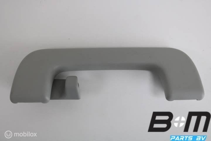 Handgreep in hemel RA (bijrijderskant) Audi S3 8V Sportback, Gebruikt