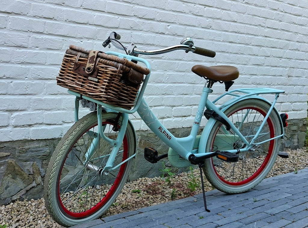 Meisjesfiets Alpina Clubb muntgroen 22", Ophalen, Terugtraprem, 22 inch, Gebruikt