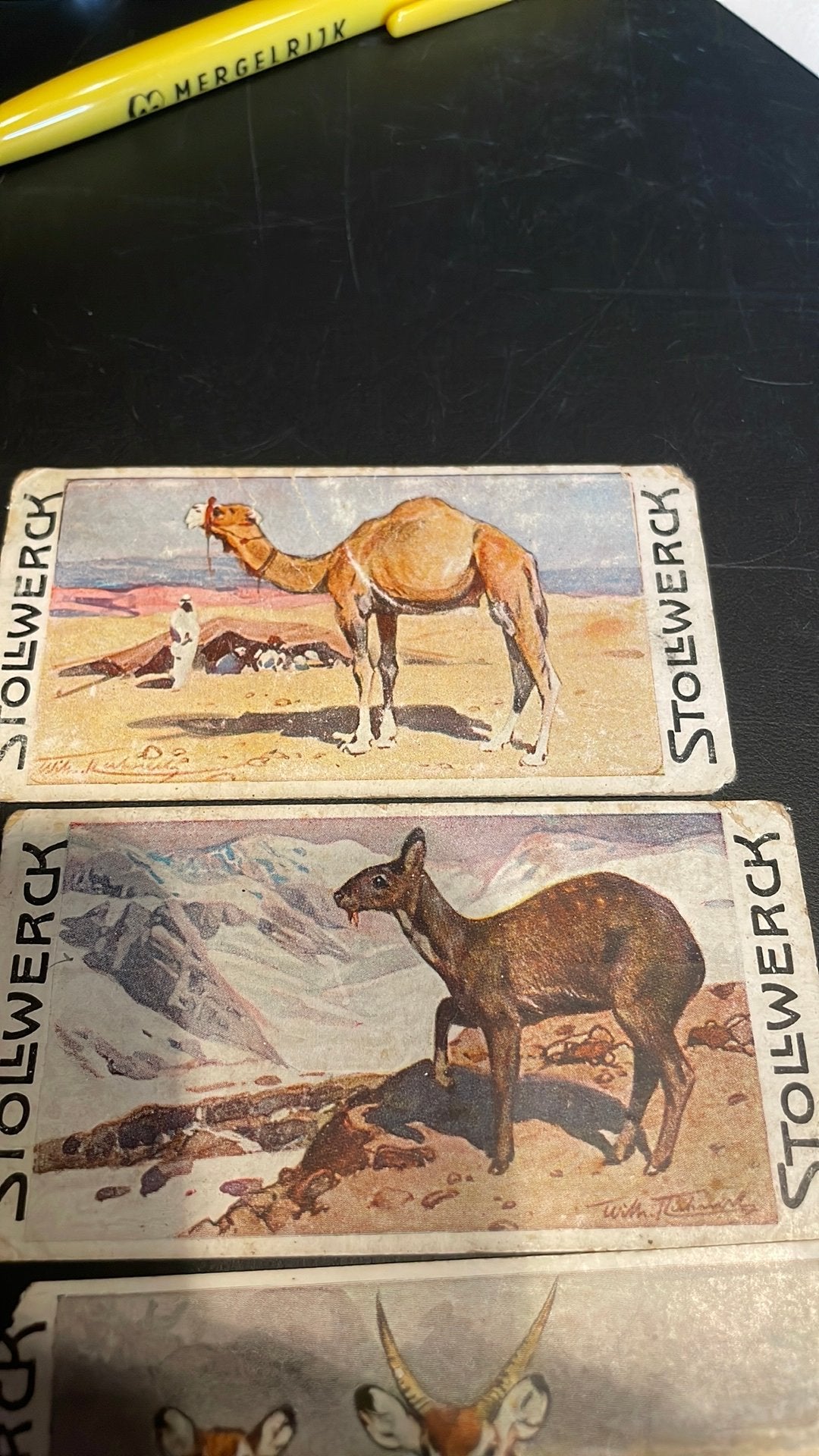 Stollwerck chromo groep 11(x3a), Verzamelen, Gebruikt, Ophalen of Verzenden, 1940 tot 1960, Dier