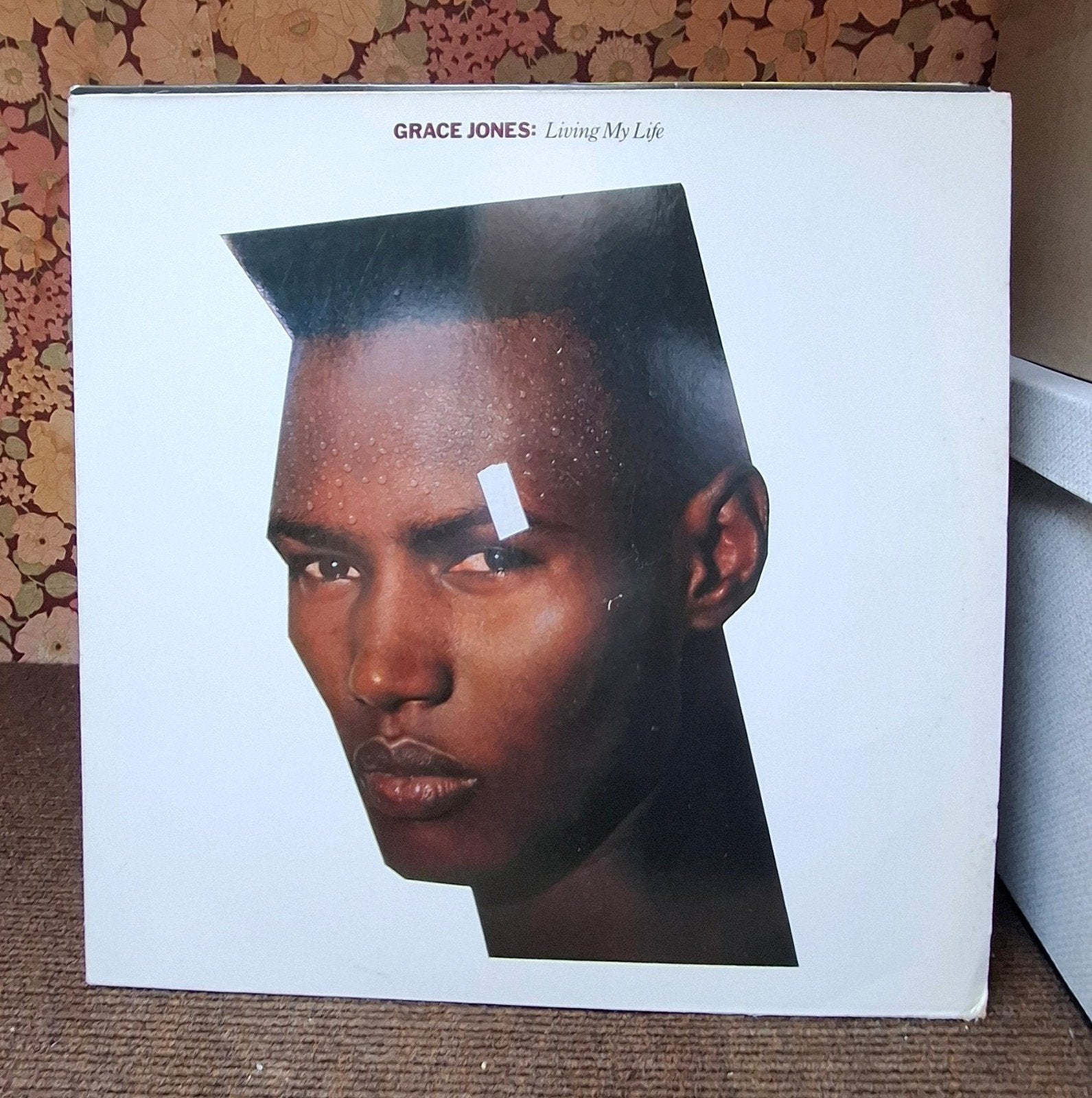 LP GRACE JONES, Cd's en Dvd's, Ophalen of Verzenden, Gebruikt, 12 inch, Overige genres