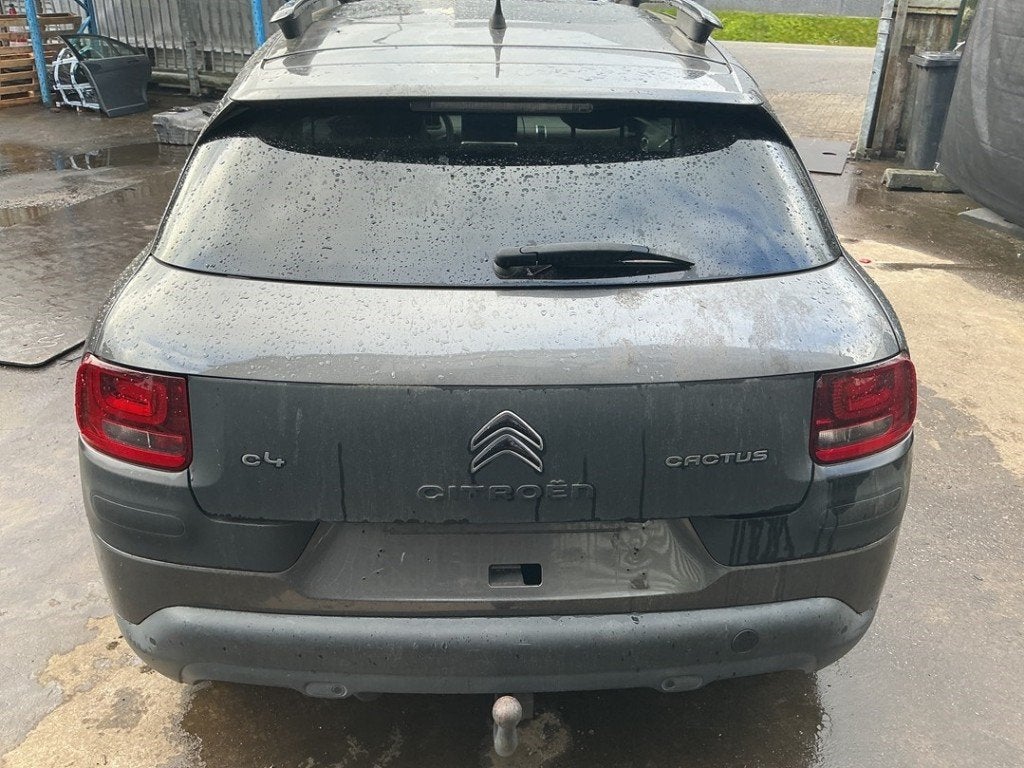 ACHTERKLEP C4 Cactus (0B / 0P) (|9800805380|1611384280|), Gebruikt, Citroën, Achterklep