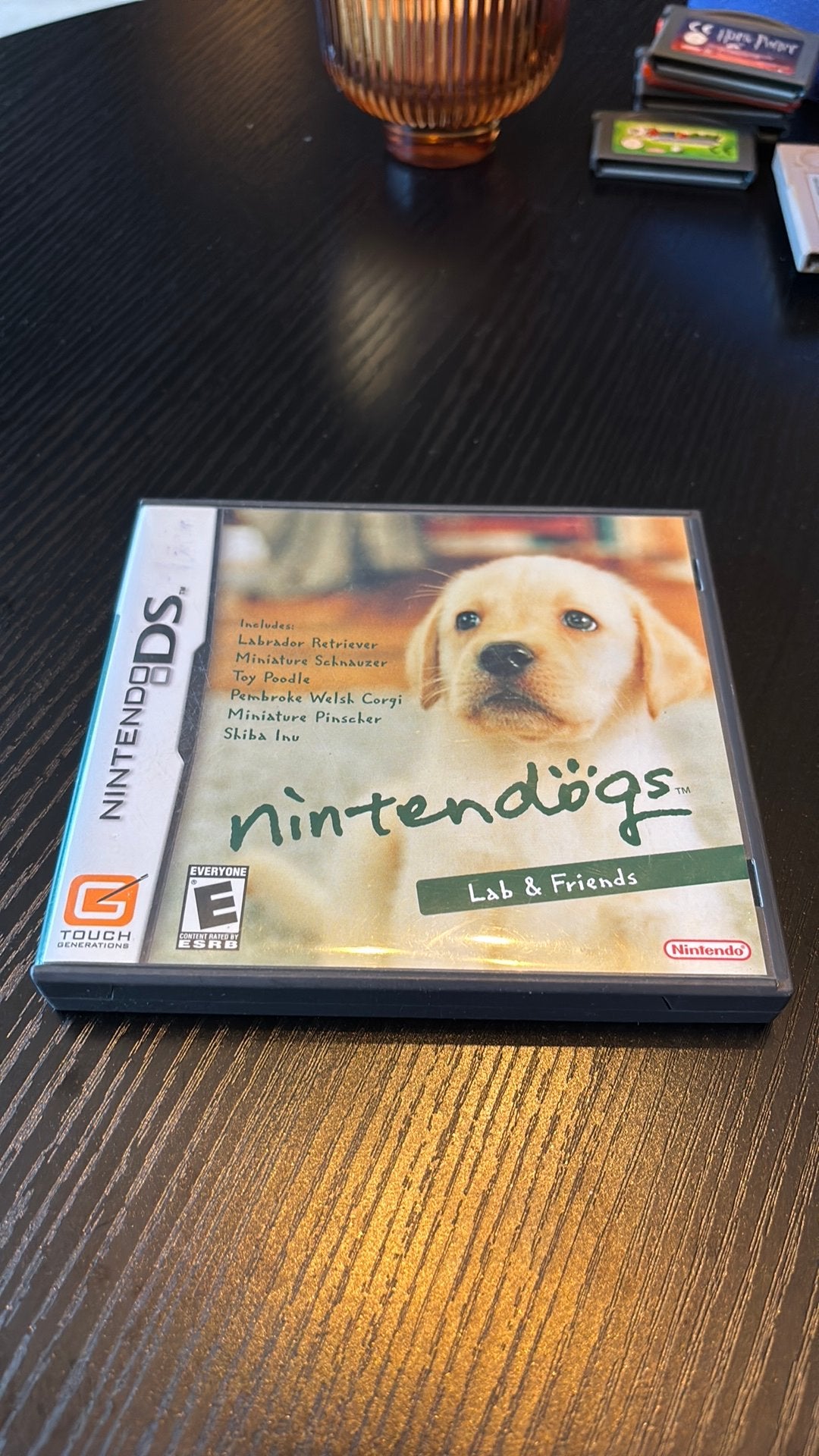 Nintendogs: Lab & Friends Nintendo DS, Consoles de jeu & Jeux vidéo, Enlèvement, Utilisé