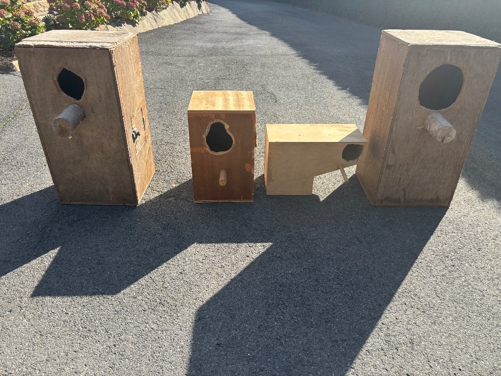 Parkieten blokken te koop, Dieren en Toebehoren