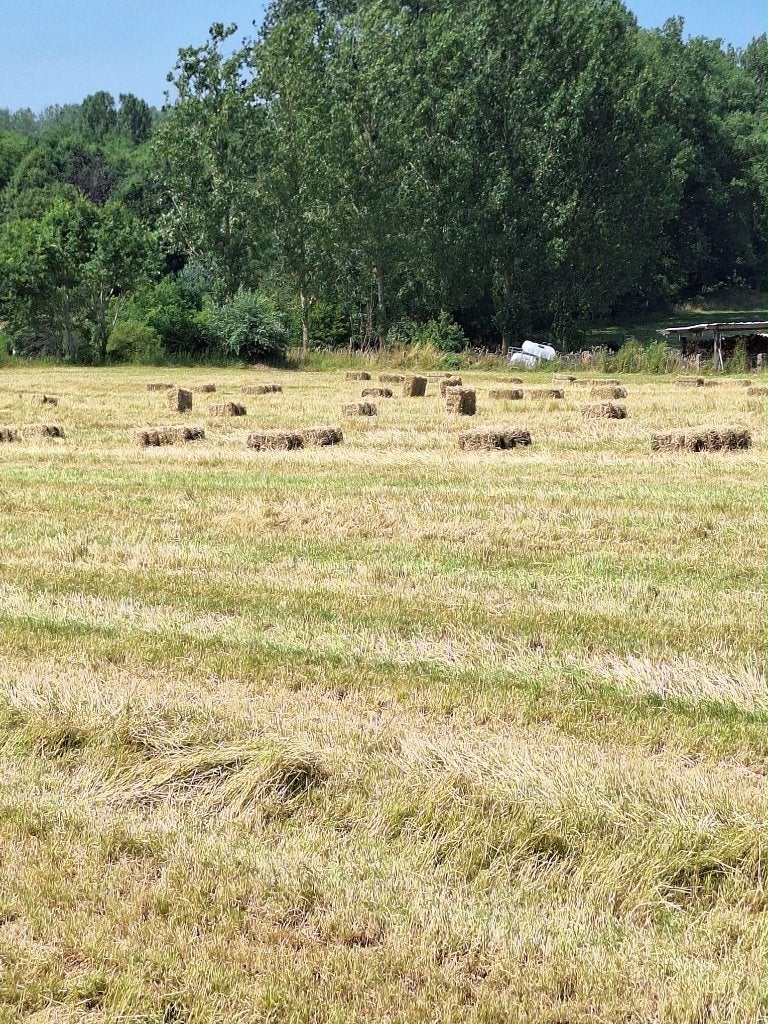 Hooi, Ophalen