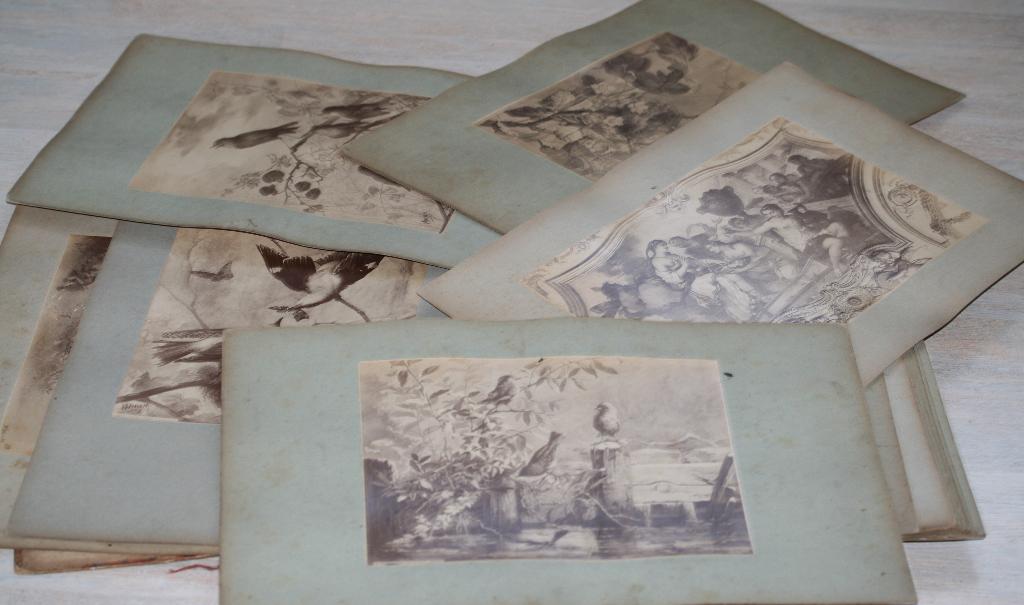 38 Antieke foto's met kaft, Ophalen of Verzenden
