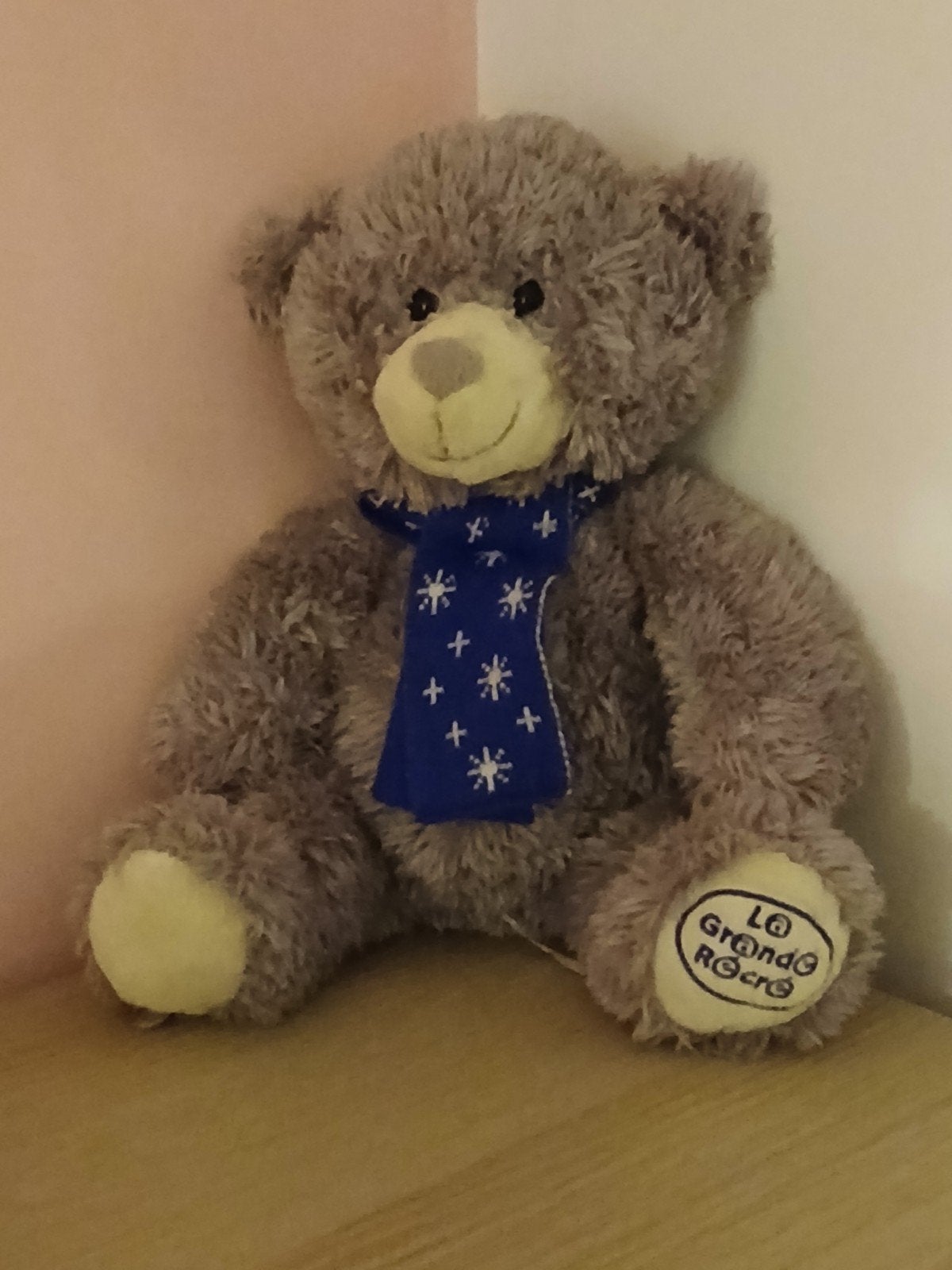 Ours en peluche, Enlèvement