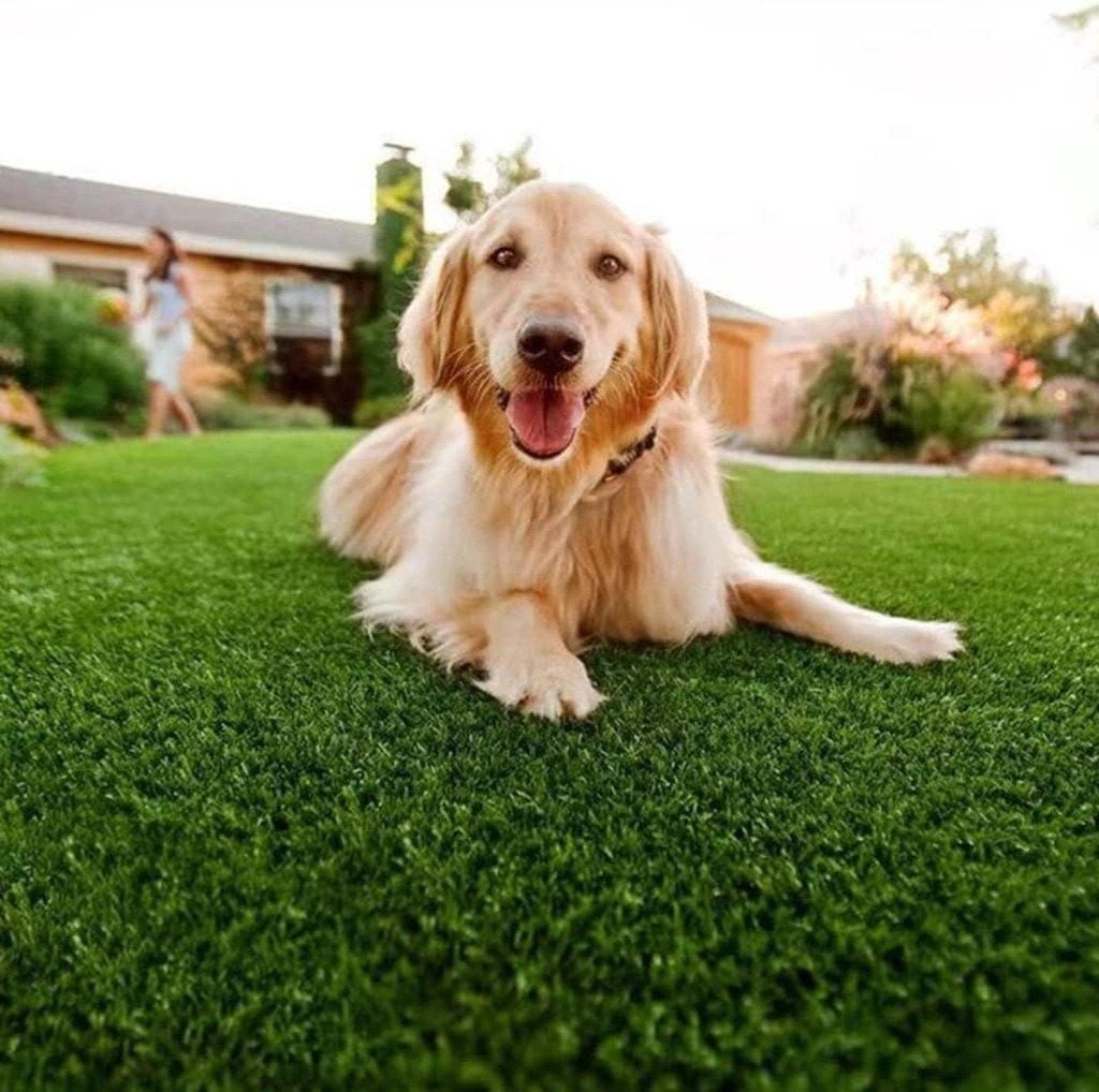 tuinservice voor hondeneigenaars, Animaux & Accessoires, Autres accessoires pour animaux, Enlèvement