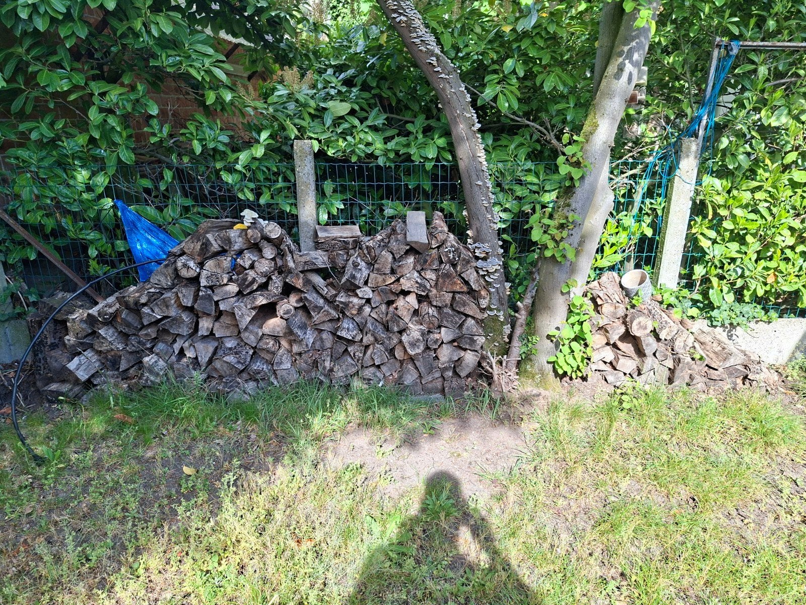 Brandhout - Beuk, Tuin en Terras, Brandhout, Ophalen