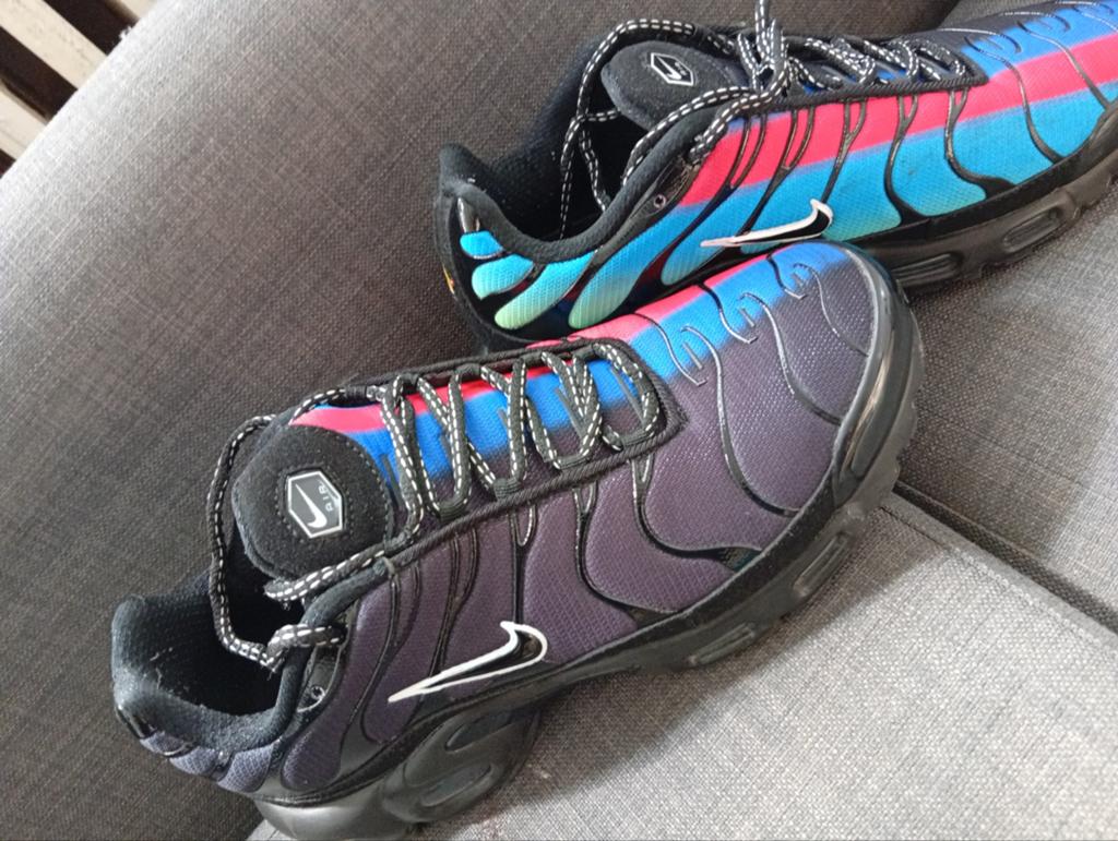 Nike Air Max Plus (TN) en très bon état., Envoi, Nike