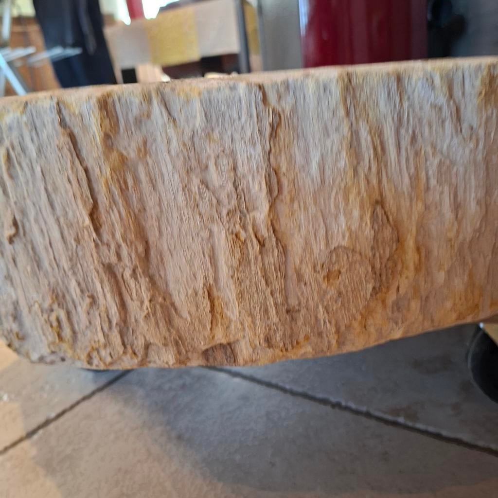 Prachtige, unieke waskom gemaakt van versteend hout, Ophalen of Verzenden