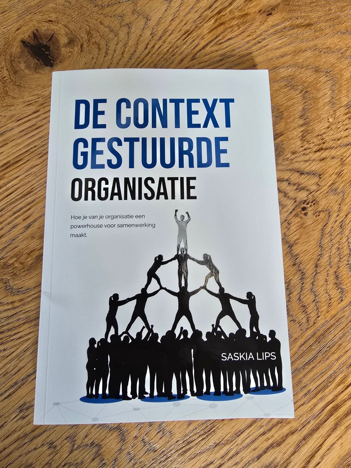 Saskia Lips - De Contextgestuurde Organisatie, Boeken, Advies, Hulp en Training, Ophalen of Verzenden, Saskia Lips