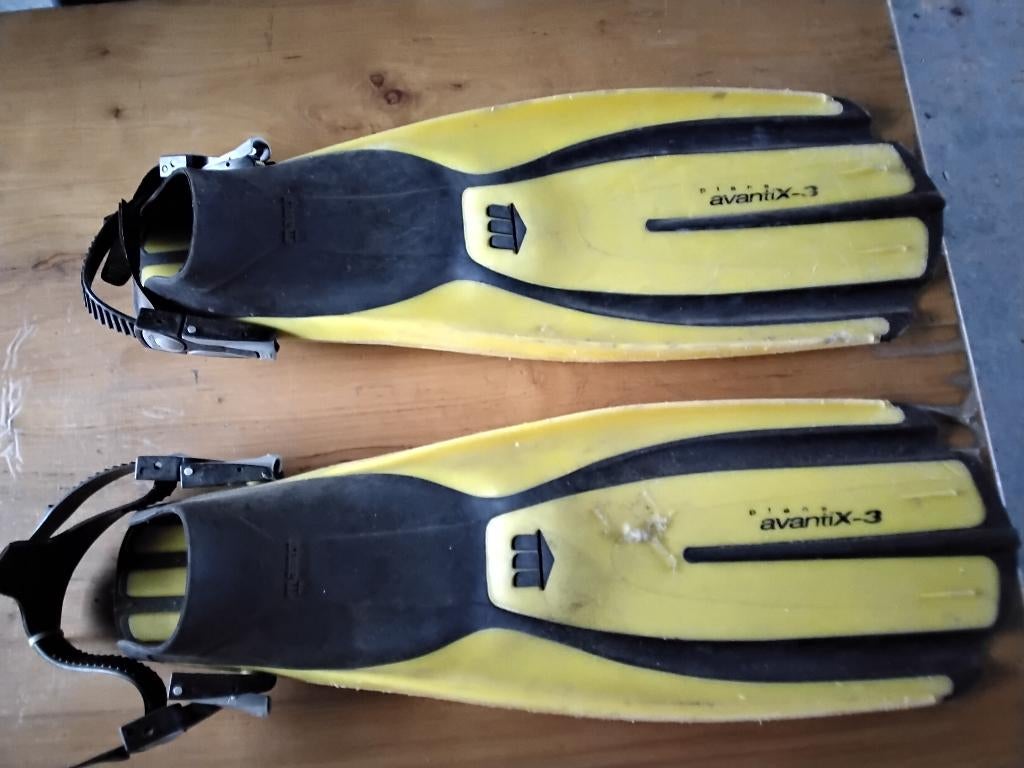 palme Mares, Ophalen, Nieuw