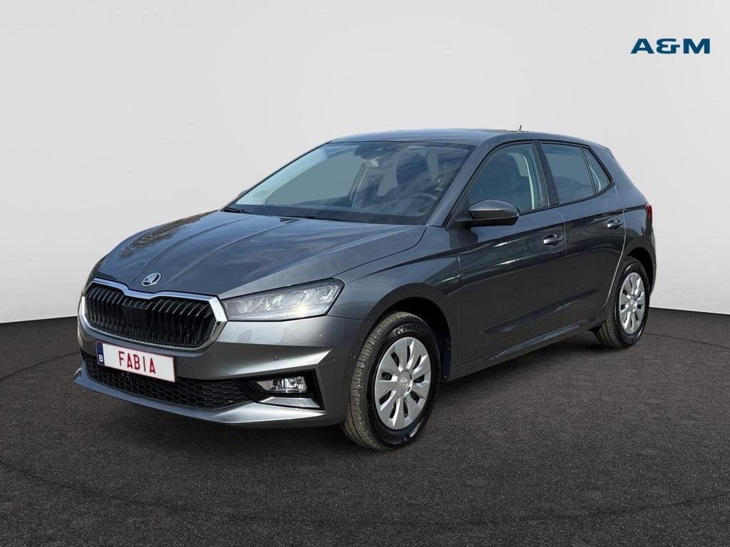 Skoda Fabia Fabia 1.0 TSI Family DSG, Automaat, https://public.car-pass.be/vhr/c882ca06-593a-468d-b95f-54f3dd1e48c1, Airbags, 119 g/km