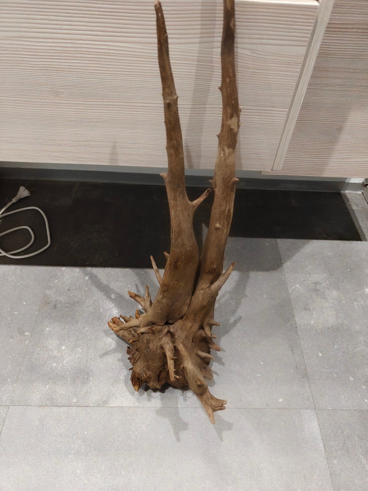 racine pour aquarium ou terrarium, Enlèvement, Comme neuf, Plante(s), Pierre ou Bois