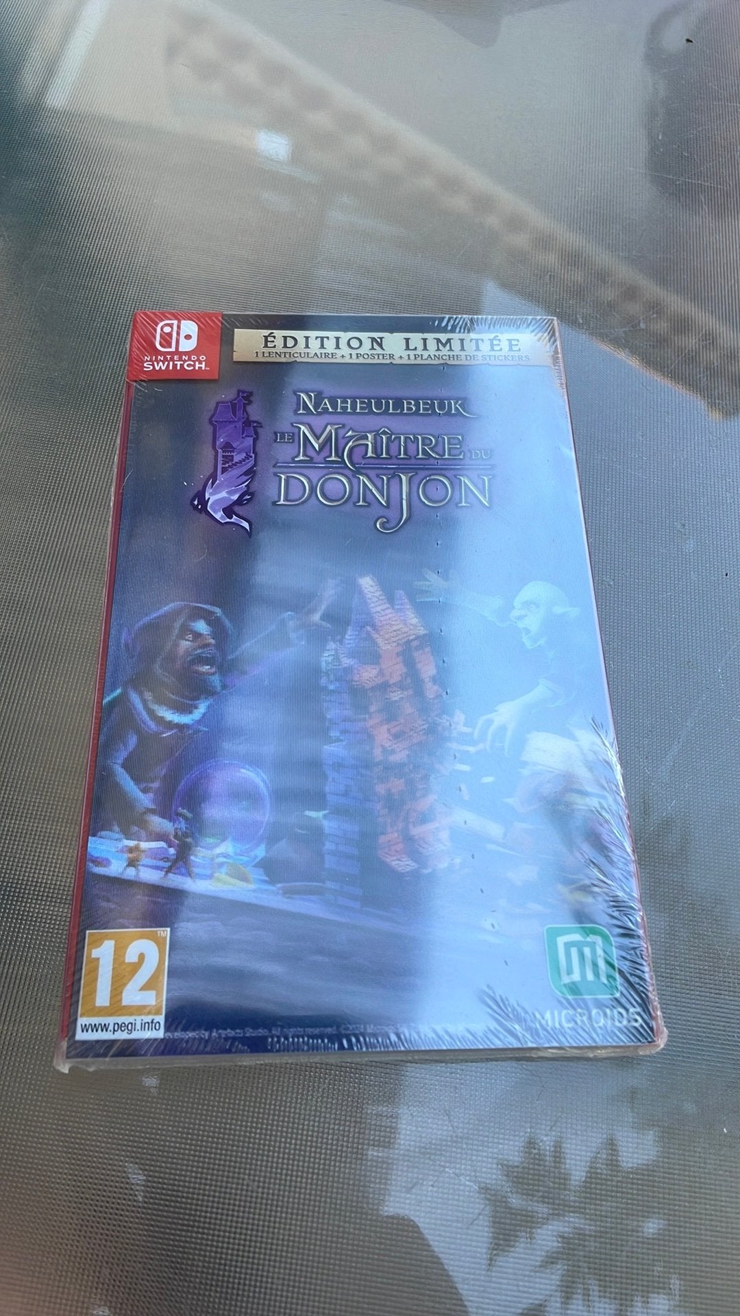 Nintendo switch naheulbeuk le maître du donjon ed limitée, Enlèvement ou Envoi, Neuf, À partir de 12 ans