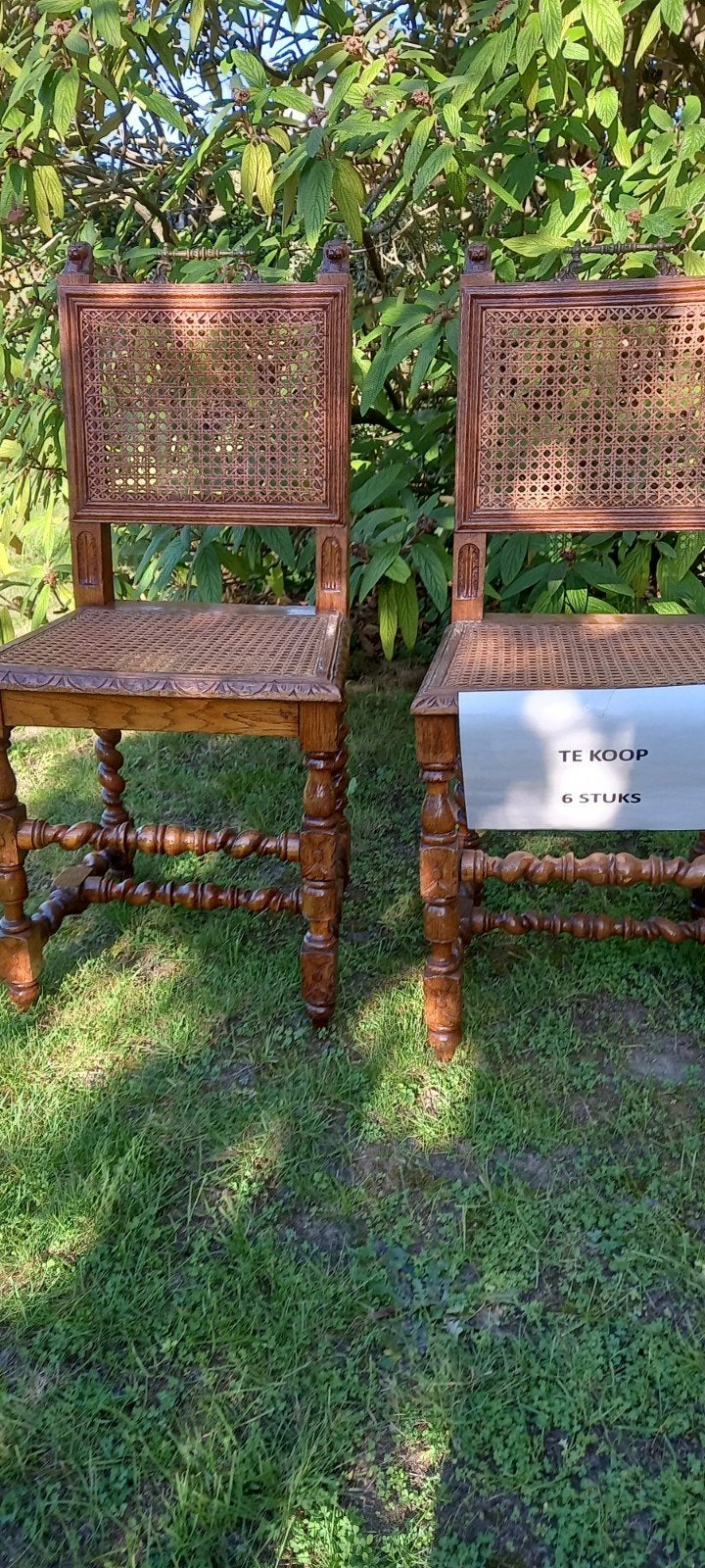 6 vintage stoelen met leeuwenkoppen, Antiek en Kunst, Ophalen